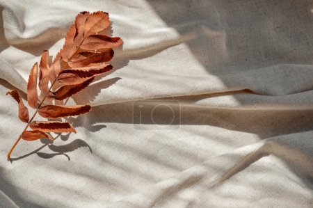 Foto de Caída hoja naranja seca sobre fondo de tela de lino beige neutro arrugado con sombras de luz solar estéticas naturales. - Imagen libre de derechos
