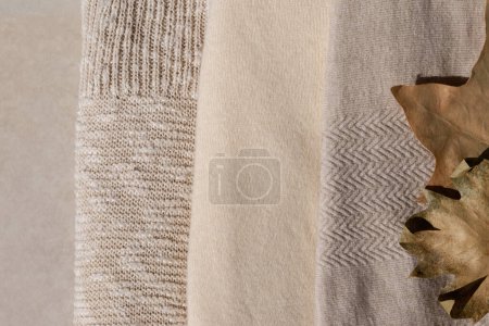 Téléchargez les photos : Automne fond confortable, garde-robe de mode dans des couleurs nues neutres. Feuilles d'automne séchées brun clair sur laine tricotée beige, crémeuse et taupe et tissu de coton. - en image libre de droit
