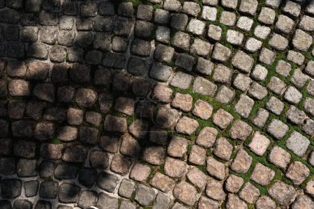 Téléchargez les photos : Vieille rue pavée trottoir en pierre avec ombre de soleil floral. Authentique route goudronnée ou jardin, cour cube - en image libre de droit