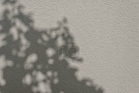 Photo for Neutral beige blank concrete wall texture with a natural floral sun light shadow silhouette, aesthetic minimalist wedding or business branding template - Royalty Free Image