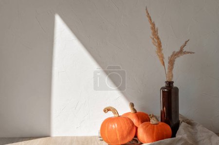 Photo for Minimal aesthetic autumn still life with pumpkins and vase with grass on table, with sunlight shadow on empty wall background. Rustic kitchen vegetable decor, food product placement, showcase. - Royalty Free Image