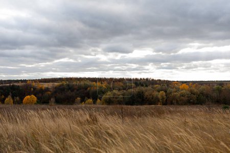 Téléchargez les photos : Automne nuageux temps venteux paysage rural avec prairie brune et orange et forêt. Ciel avec nuages sombres. - en image libre de droit