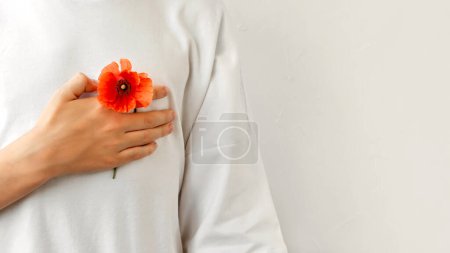 Foto de Mano en el pecho con flor de amapola roja sobre fondo blanco neutro. Militares, Día de los Veteranos, concepto de recuerdo y reconciliación. - Imagen libre de derechos