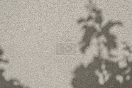 Foto de Silueta de sombra de follaje en una textura de pared de hormigón beige neutro, plantilla de marca de boda o negocio estético, fondo - Imagen libre de derechos