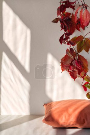 Téléchargez les photos : Oreiller orange sur table beige, mur blanc avec feuilles de raisin sauvages et silhouette d'ombres de lumière du soleil de fenêtre. Style de vie esthétique fond d'automne, modèle de marque automne entreprise, espace de copie. - en image libre de droit