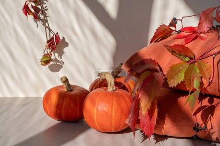 Foto de Bodegón estético de otoño con calabazas, hojas de uva silvestre y almohadas naranjas sobre mesa beige con sombras naturales de luz solar. - Imagen libre de derechos