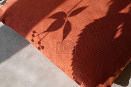 Téléchargez les photos : Fond automnal minimal avec oreiller orange et silhouette naturelle de l'ombre du soleil floral de feuilles de raisin sauvage. Automne décoration intérieure confortable maison, nature morte. - en image libre de droit