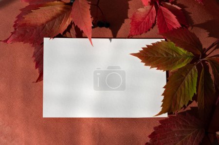 Téléchargez les photos : Carte papier vierge, maquette de carte postale avec espace de copie sur oreiller rouge d'automne avec feuilles de raisin sauvages. Carte de vœux d'Action de grâce d'automne, modèle de conception d'invitation. - en image libre de droit