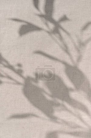 Téléchargez les photos : Esthétique motif d'ombres florales ensoleillées sur toile de lin beige neutre texture fond. Modèle de marque éco durable, toile de fond, conception de mariage. - en image libre de droit