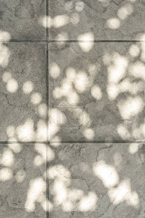 Téléchargez les photos : Dalles de pavage beige neutre moderne esthétique, fond de texture de tuiles de terrasse avec une ombre solaire florale à taches. Décoration de cour de luxe, modèle de conception immobilière - en image libre de droit