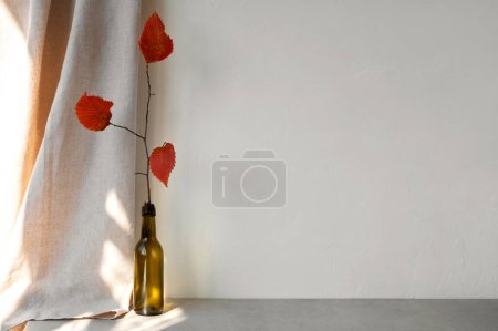 Photo for Empty neutral beige concrete wall texture background, stone floor or tabletop, linen curtain, tree branch with red autumn leaves in vase. Aesthetic minimal fall room interior design template. - Royalty Free Image