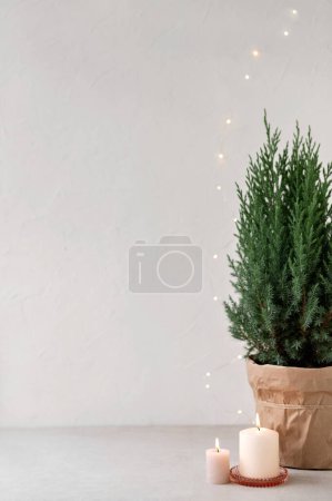 Foto de Mínimo blanco neutro estético fondo de Navidad. Pared blanca vacía, mesa beige con enebro en maceta y velas. - Imagen libre de derechos