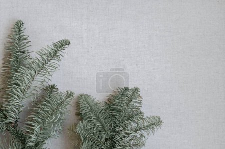 Foto de Fondo de invierno minimalista estético con rama de abeto en beige neutro, fondo de textura de tela de lino gris, marca de negocios elegante o plantilla de boda, telón de fondo en estilo nórdico. - Imagen libre de derechos