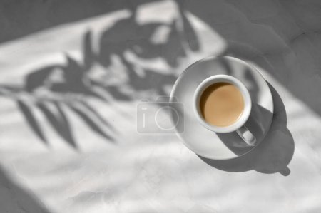 Foto de Platillo y taza de cerámica blanca con bebida de café sobre fondo de mesa gris mármol neutro con sombras estéticas de luz solar floral, plantilla de marca femenina. - Imagen libre de derechos