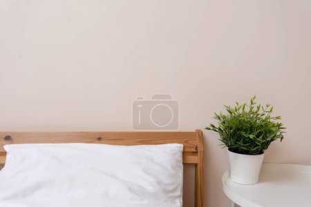Photo for Minimalist bedroom interior design, wooden bed with white linen bedding, bedside table with green plant in pot, empty neutral peach beige wall background. - Royalty Free Image