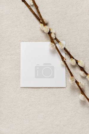 Photo for Blank paper sheet and pussy willow branches on neutral beige background, top view, copy space. Aesthetic elegant minimal Easter spring greeting card, wedding invitation or branding template. - Royalty Free Image
