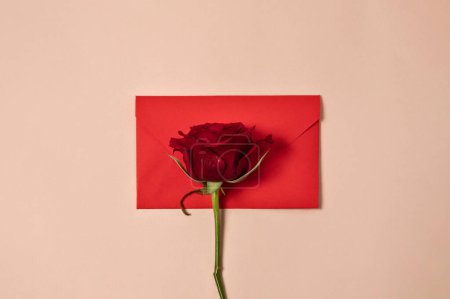 Téléchargez les photos : Fleur rose rouge et enveloppe en papier rouge sur fond beige pêche pastel. Carte de vœux minimale, mariage, invitation à un événement de vacances, concept de lettre d'amour. - en image libre de droit