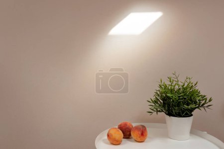 Foto de Tres melocotones y maceta en mesa blanca en un entorno minimalista con fondo liso de pared con patrón de manchas de luz solar natural. - Imagen libre de derechos