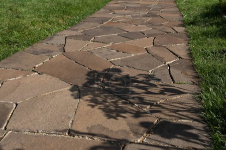 Photo for Brown stone pathway surrounded by lawn with green grass, with floral sunlight shadow, suburban sidewalk. - Royalty Free Image