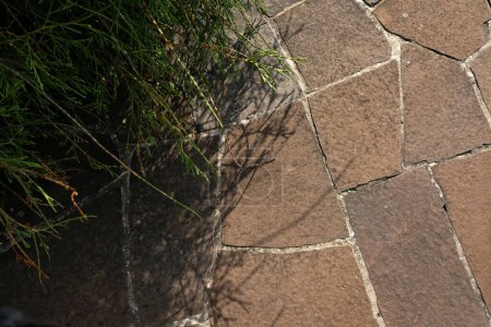 Téléchargez les photos : Gros plan de motif de tuiles de chemin de pierre marron avec herbe verte en plein soleil avec des ombres, aménagement paysager jardin campagne. - en image libre de droit