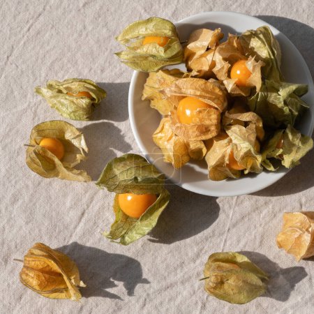 Téléchargez les photos : Physalis fruits en coquilles sur assiette sur nappe en lin beige avec ombres naturelles du soleil, gros plan, vue sur le dessus. - en image libre de droit