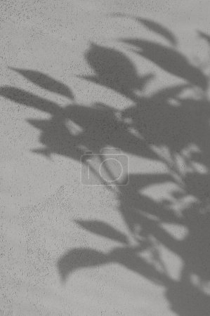 Abstrakte florale Schattensilhouette der Blätter auf neutralem taupe-grauem Steinhintergrund, ästhetisch nachhaltiger Hintergrund für Business Branding in erdiger Farbe.