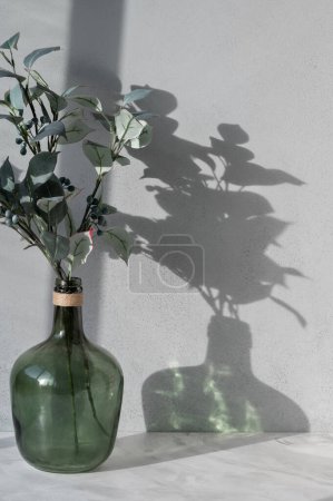 Téléchargez les photos : Vase vert avec branches d'arbres au feuillage luxuriant sur plateau en marbre gris neutre, fond mural en béton texturé avec ombres de soleil esthétiques, étagère ou modèle de comptoir pour le placement du produit. - en image libre de droit