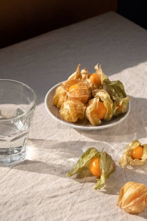 Photo for Ripe physalis berries in shells, glass with water on neutral beige tabletop, linen tablecloth, aesthetic floral sunlight shadow. Elegant sustainable lifestyle background, healthy vitamin food concept. - Royalty Free Image