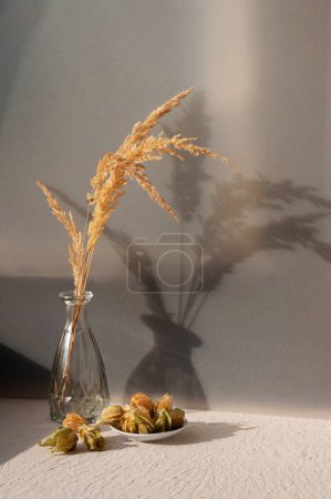 Téléchargez les photos : Nature morte durable à la maison, vase avec herbe séchée, baies de physalis dans des coquillages sur la table avec nappe en lin beige et ombres de soleil naturelles esthétiques, fond de style de vie d'été boho. - en image libre de droit