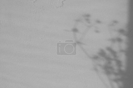 Weiche verschwommene Schattensilhouette von Wiesengras auf neutral grau strukturierten Steinmauer Hintergrund mit natürlichem Sonnenlicht, Hintergrund mit Kopierraum für Business-Branding-Design in erdiger Farbe.