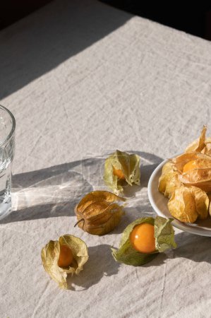 Photo for Ripe physalis berries on table and glass with water, lifestyle still life with natural sunlight shadows, aesthetic minimalist summer backdrop, healthy food and nutrition concept. - Royalty Free Image