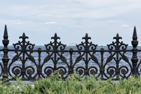 Photo for Forged black iron fence with decorative ornate pattern, green grass, blue sky background. - Royalty Free Image