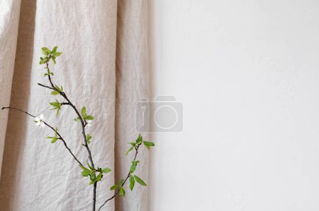Foto de Fondo natural estético con pared blanca vacía, cortina de lino beige neutro y rama de árbol verde, telón de fondo floral sostenible con espacio para copiar. - Imagen libre de derechos