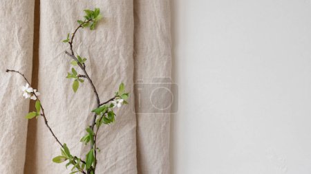 Foto de Pared blanca vacía, textura de cortina de lino beige neutro, rama de cerezo con hojas y flores verdes, fondo interior estético floral natural, espacio para copiar. - Imagen libre de derechos