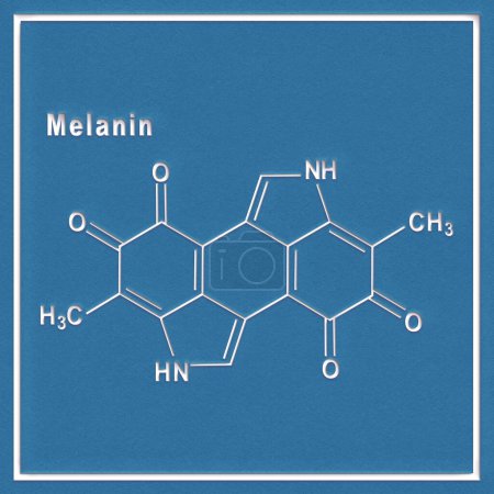 Téléchargez les photos : Molécule de mélanine, Formule chimique structurelle sur fond blanc - en image libre de droit