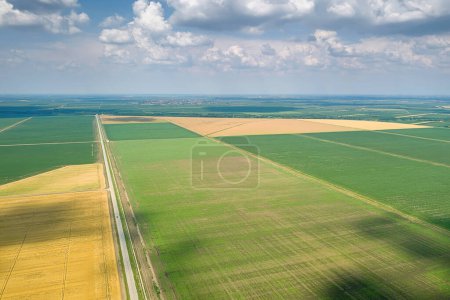 Vista aérea de los campos agrícolas. Campo, Paisaje agrícola Vista aérea.