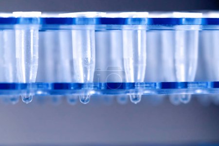 Téléchargez les photos : Tubes de centrifugeuse d'essai en plastique de science - en image libre de droit