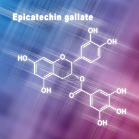 Foto de Galato de epicatequina, Fórmula química estructural fondo rosa azul - Imagen libre de derechos