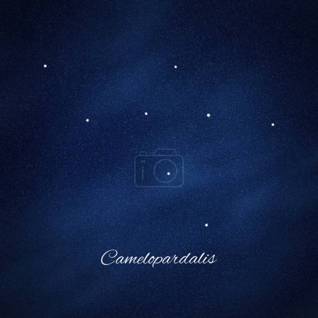 Camelopardalis constellation, Cluster of stars, Giraffe constellation
