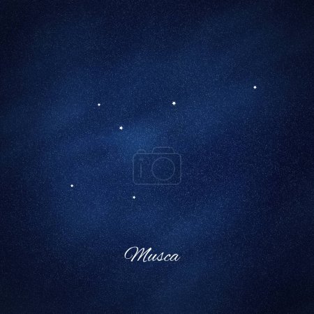 Musca constellation, Cluster of stars, Fly constellation