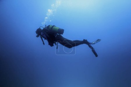 Plongée sous-marine Sea Bottom, Plongée explorant