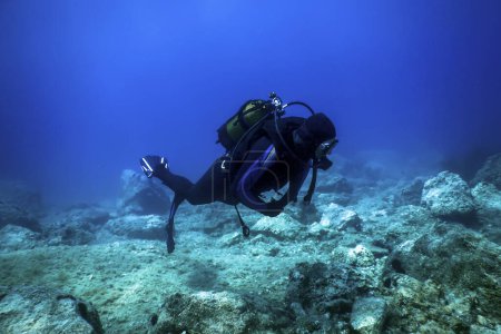 Téléchargez les photos : Plongée sous-marine Sea Bottom, Plongée explorant - en image libre de droit