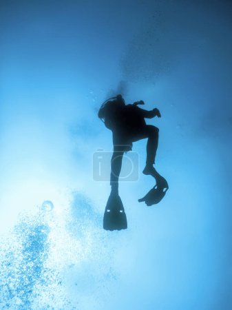 Scuba Diver Silhouettes Clear Blue Water