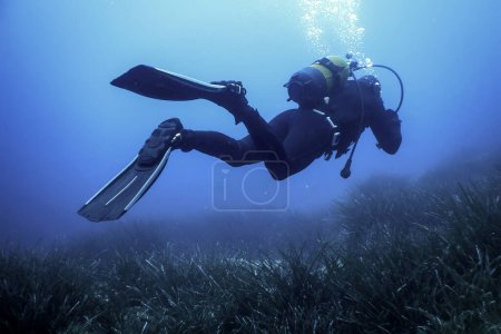 Scuba Diver Sea Bottom, Diver exploring