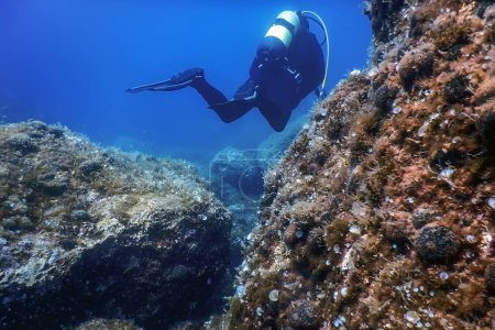 Plongée sous-marine La natation sous-marine explore les récifs et examine les fonds marins