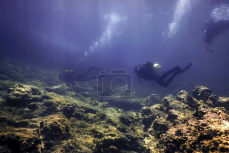 Group of Divers at the Bottom of the Sea Exploring