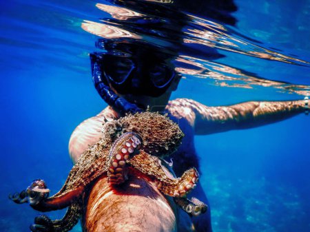 Enge Begegnung Mensch mit Oktopus, Tiertourismus unter Wasser