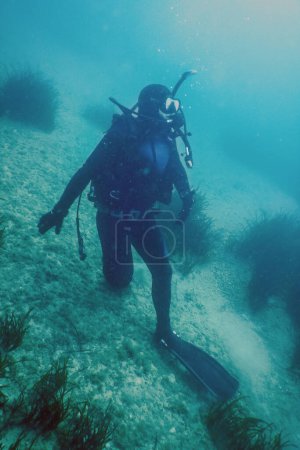 Téléchargez les photos : Plongée sous-marine La natation sous-marine explore les récifs et examine les fonds marins - en image libre de droit