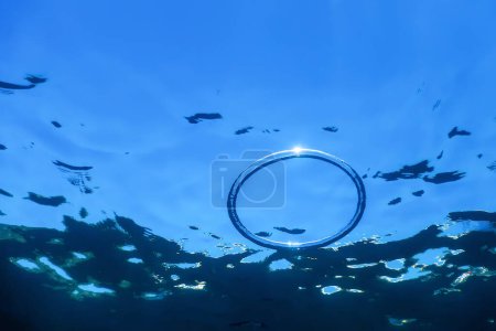 Underwater Bubble Ring Ascends towards the Sun