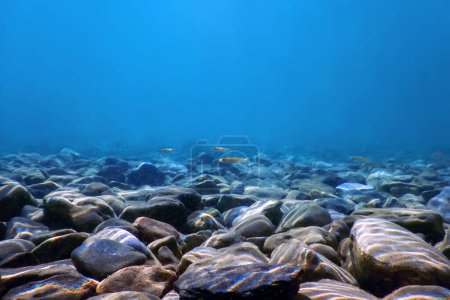 Unterwasserkieselsteine unter der Wasseroberfläche, Felsen und Kieselsteine
